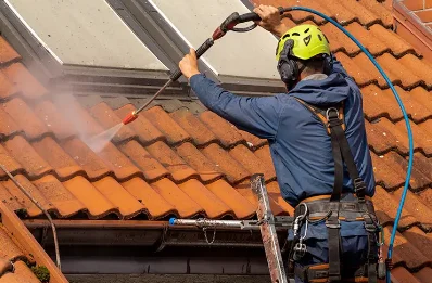 Démoussage et hydrofuge de toiture à Laplume